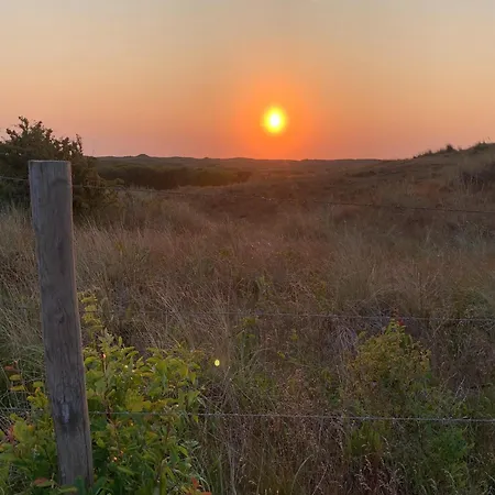 With Garden In Dutch Countryside