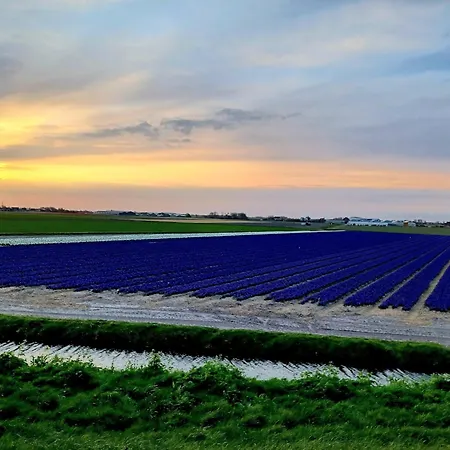 With Garden In Dutch Countryside Apartamento